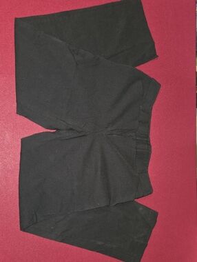 Sz 14 Time and True Women' Dress Pants